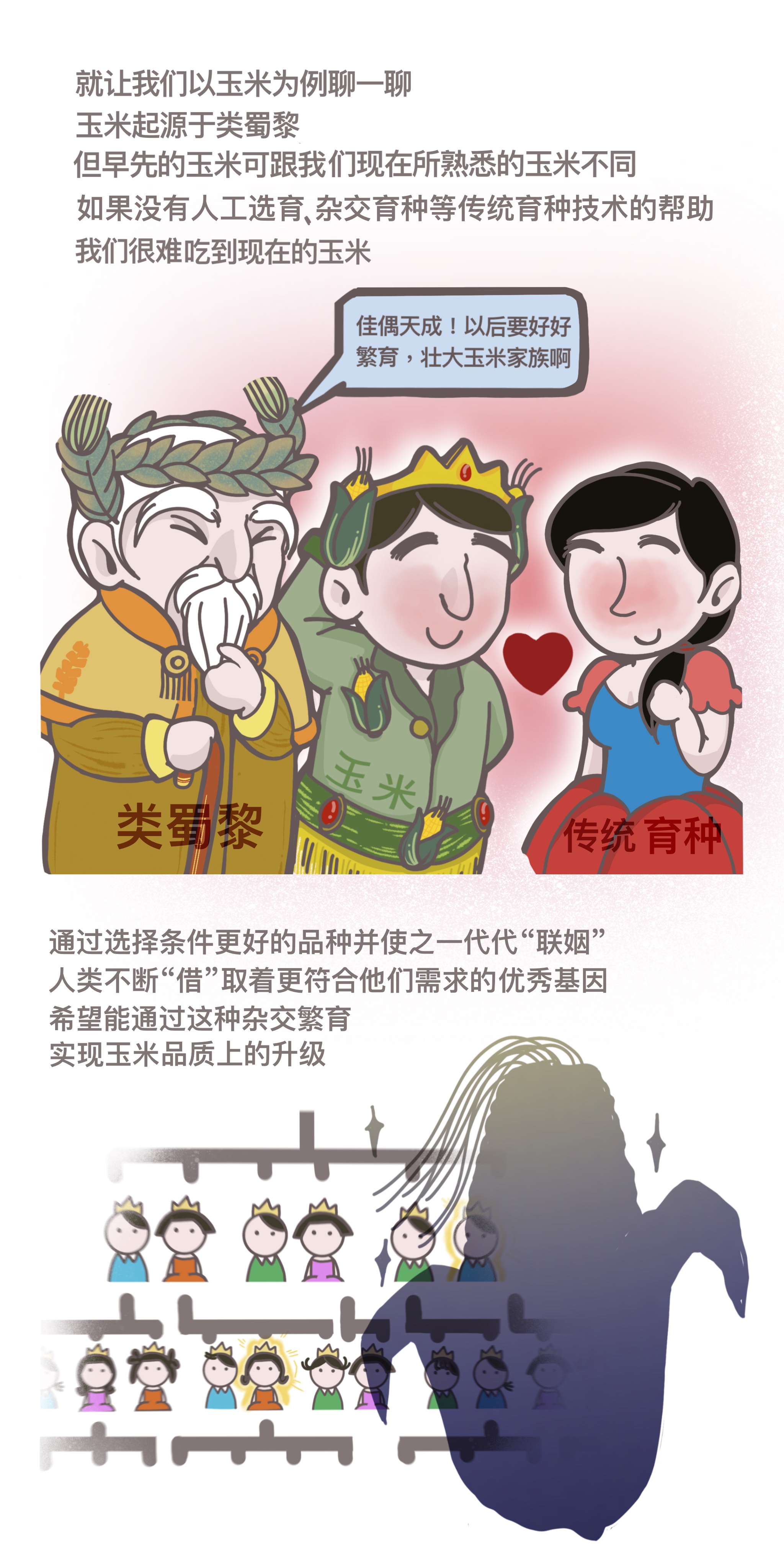 漫画 | 别被忽悠了！这才是真的转基因