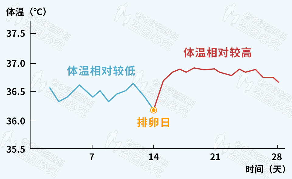 为什么女生的手脚总是冰冷，捂不暖和？