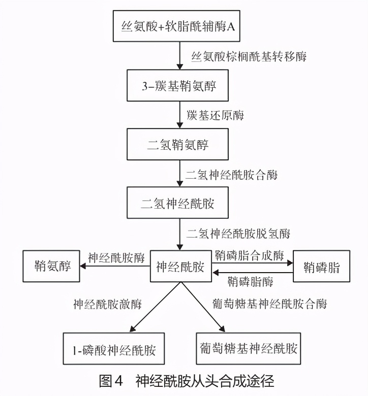 刷酸的你，选对了吗？