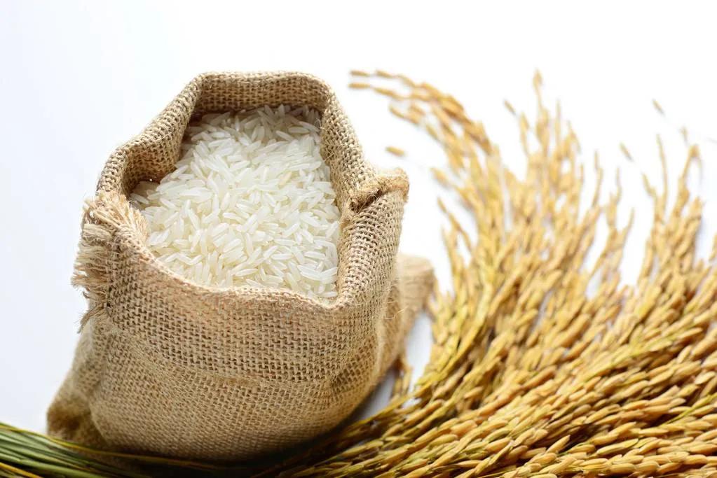 大米卖的越贵，营养越好？长虫了，还能不能吃？