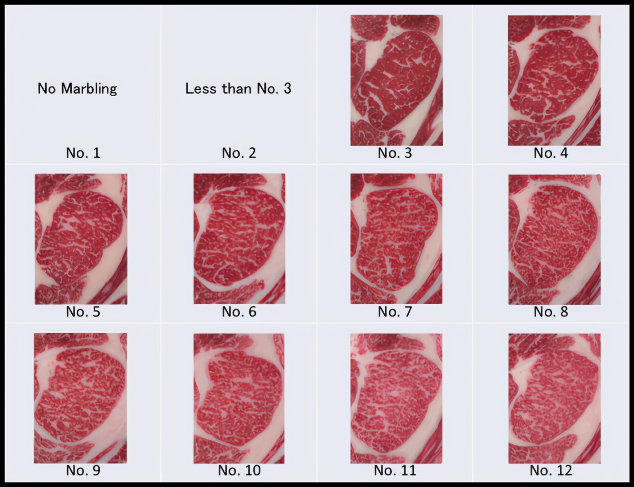 你吃到的日本和牛，其实都是假和牛肉