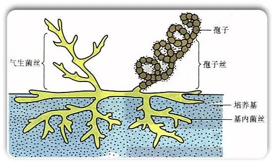 640.webp (35).jpg