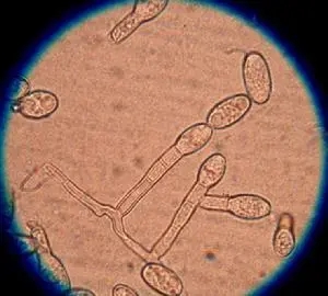 640.webp (37).jpg
