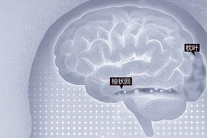 為什么你會經常在物體上發(fā)現(xiàn)“人臉”？不用擔心，這是好事
