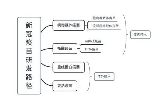 为什么中国的新冠灭活疫苗走得最快？