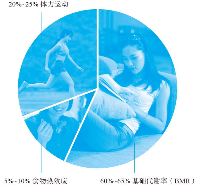 哪儿冷脂肪就会去哪儿，露出的地方更容易长肉？