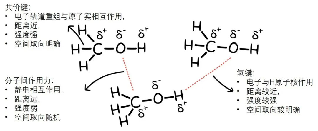 教科书即将再被改写,诡异的氢键出现新形态