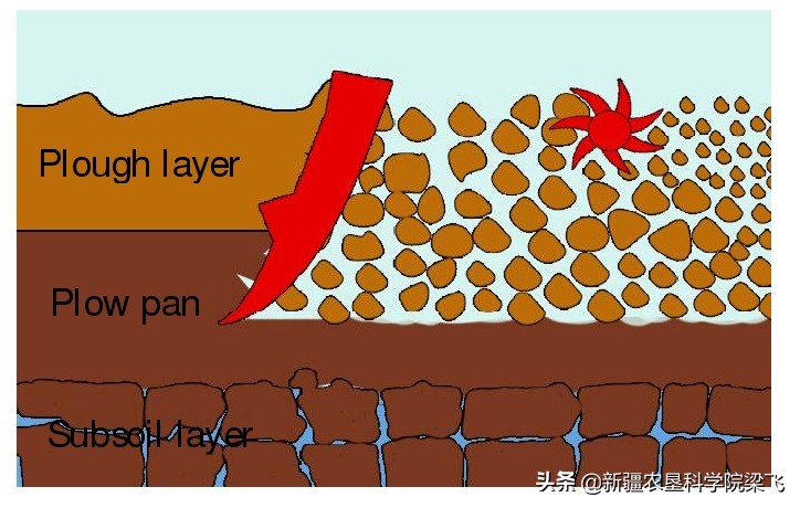 什么是犁底层？什么是土壤障碍层，什么是不良土壤结构？