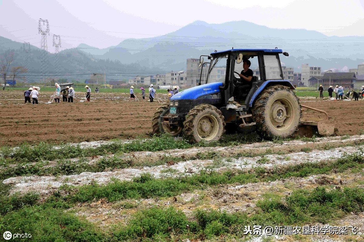 什么是犁底层？什么是土壤障碍层，什么是不良土壤结构？