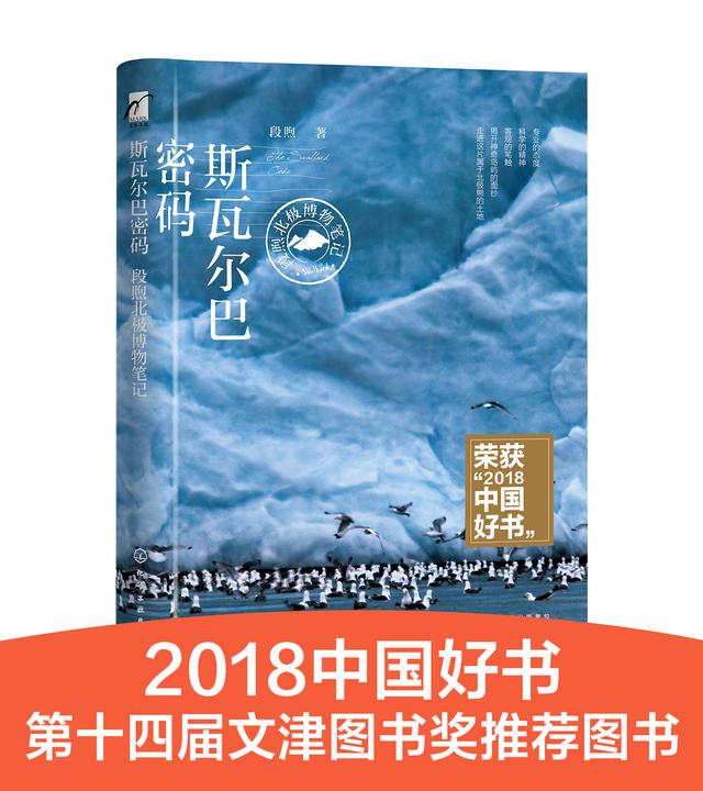 遇到霸主北极熊，你该怎么办？