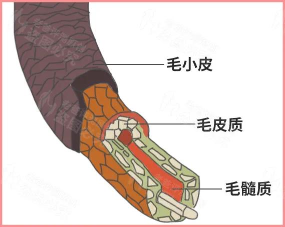 评测了9款护发精油，原来用过精油的头发长这样