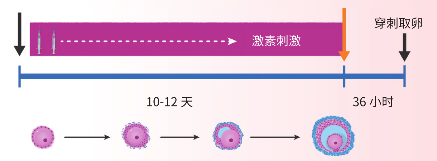 代孕母亲经历了什么？