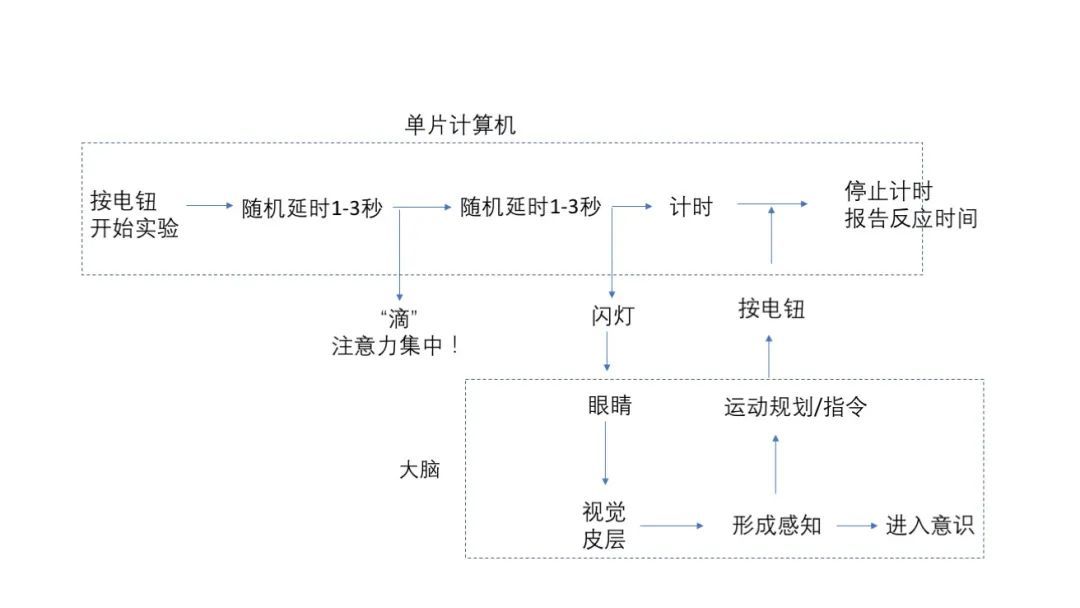 抓不住的百元大钞——穷孩子学科学（1）｜小炉匠沙龙