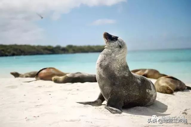 走世界聊地震 | 环球旅行家心中的终极海岛《进化论》的启蒙地