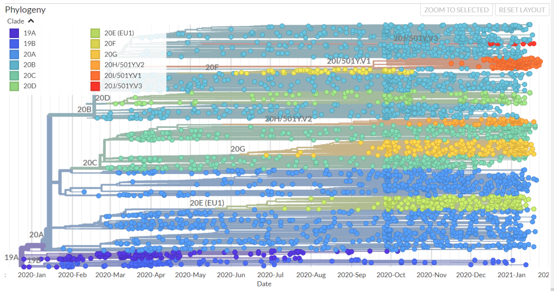 新冠病毒变异株大梳理：变异必将继续，人类何去何从？