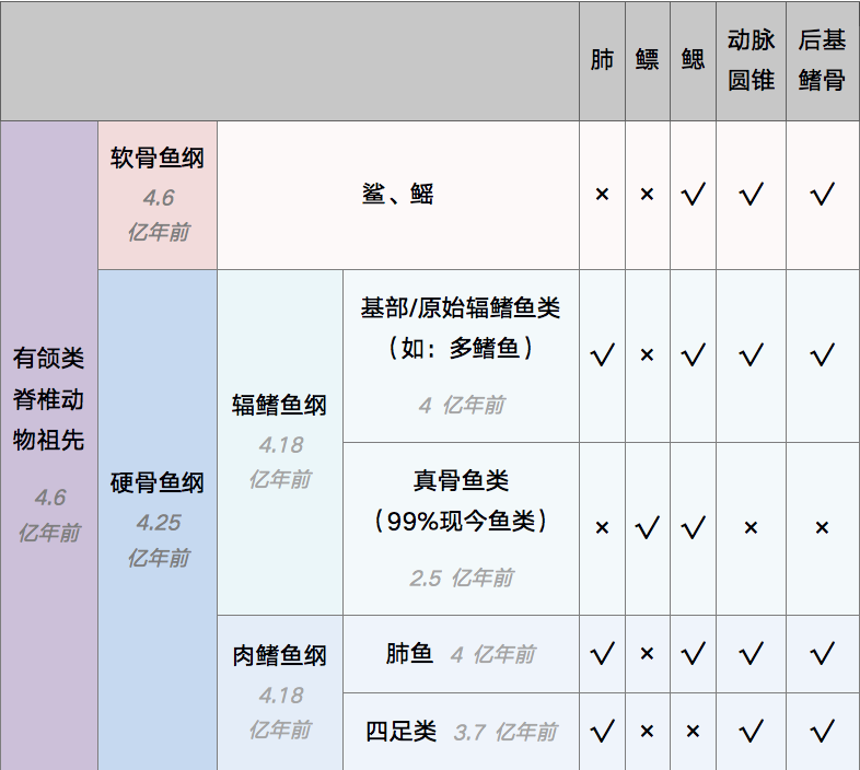人类传承了4亿年前鱼祖先的登陆绝技，新生代鱼却把它们弄丢了