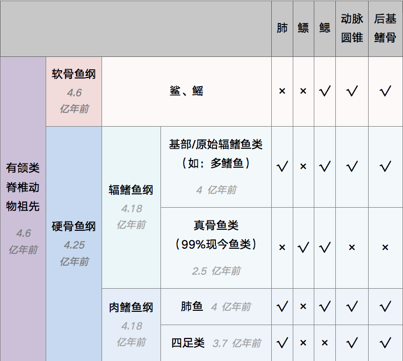 人類傳承了4億年前魚祖先的登陸絕技，新生代魚卻把它們弄丟了