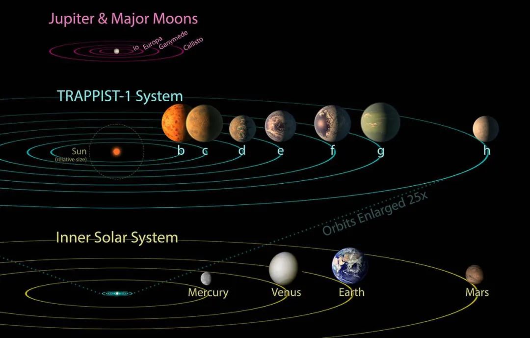 奇妙的行星动物园