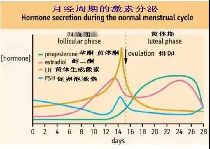 晨勃现象时间图片