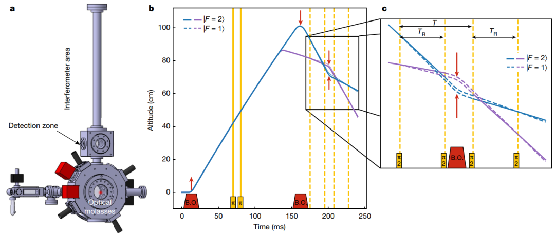追尋物理學中“魔數”的最準確結果