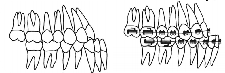 640 (2).png