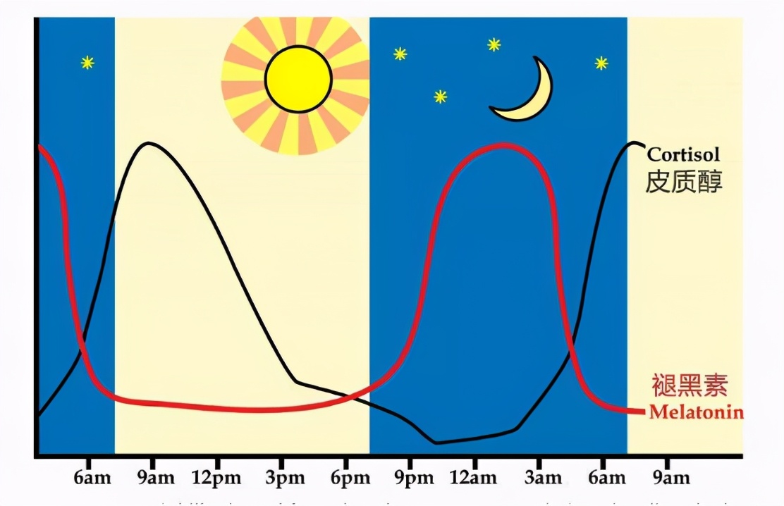 世界睡眠日 | 全国超3亿人有睡眠障碍，怎样才能睡个好觉？