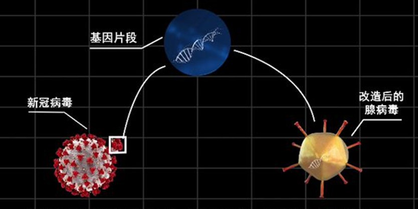 接种疫苗后仍被感染，疫苗还要不要继续打？四种国产疫苗区别在哪？