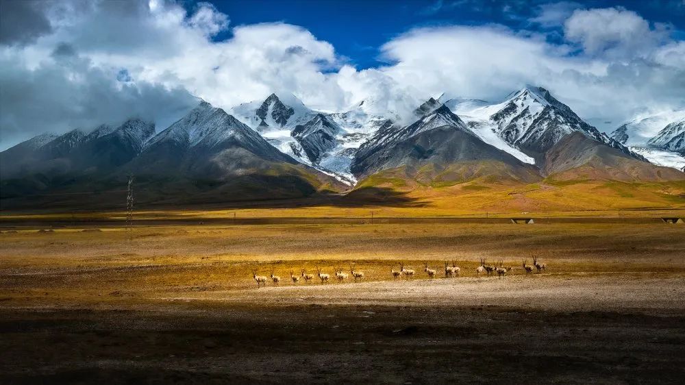 青海省是长江和黄河的源头,从唐古拉山格拉丹东雪山发源的长江,和从巴