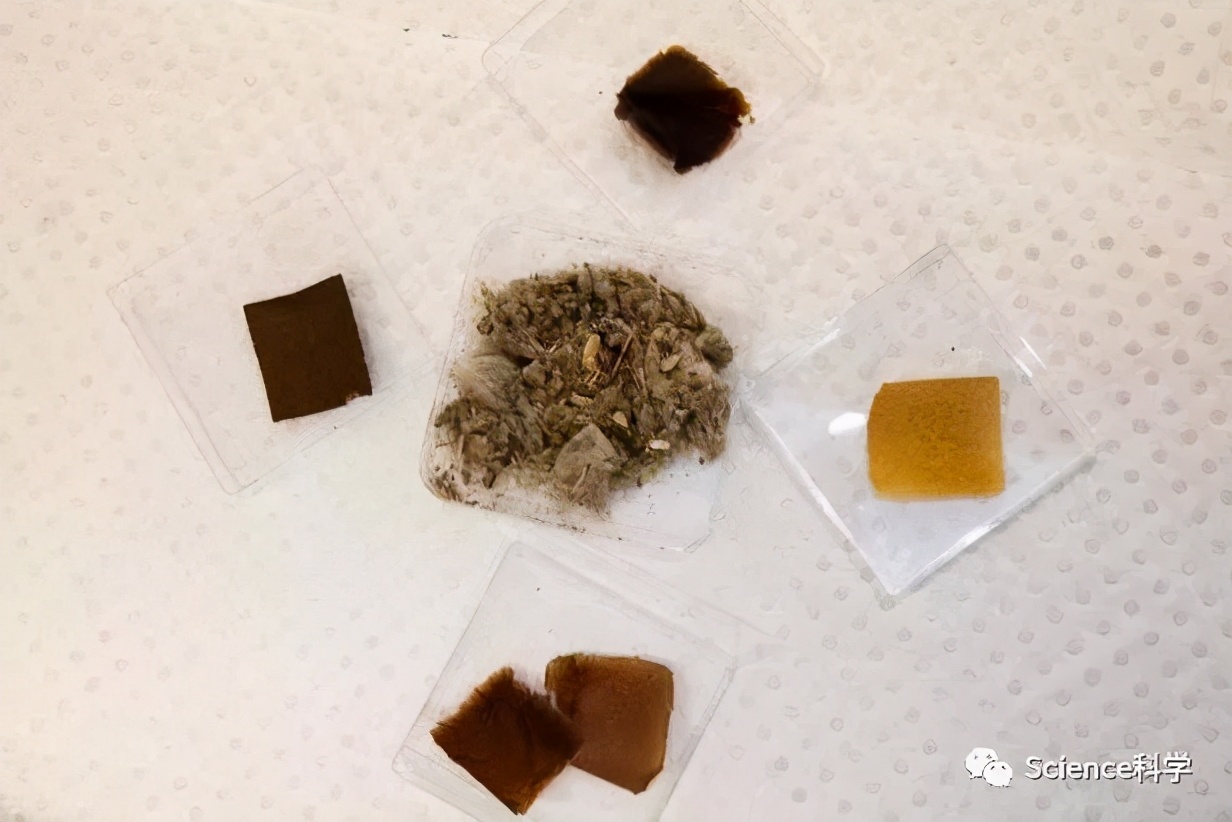 棉花真的很忙！除了做衣服，它还有这些意想不到的用途