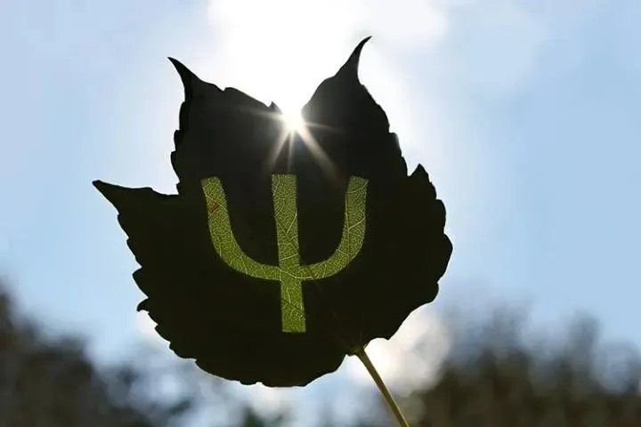 圖片