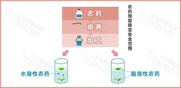 實(shí)測(cè)9款蜜桃烏龍茶包，沒想到香味居然不是真蜜桃