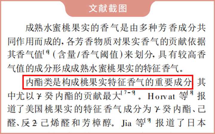 實(shí)測9款蜜桃烏龍茶包，沒想到香味居然不是真蜜桃