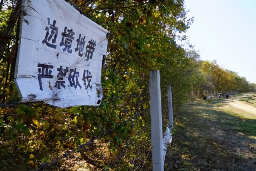 野生虎出沒是因?yàn)榄h(huán)境好了？對于“完達(dá)山一號”東北虎的四點(diǎn)思考