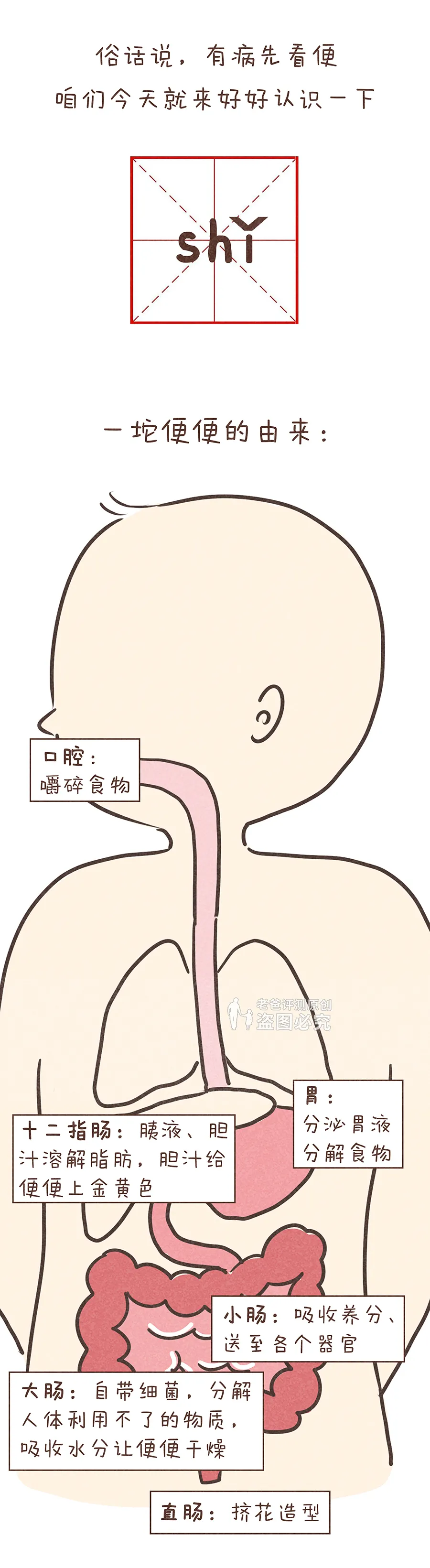 上完厕所千万记得看一眼，拉出这种便便可要小心了