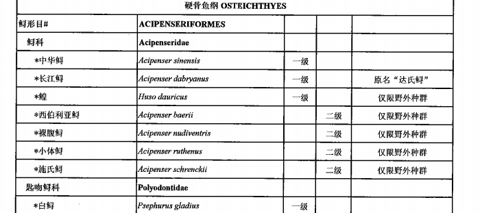 细说长江濒危保护鱼类——患难的鲟鱼一族