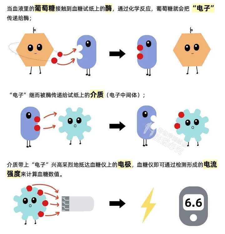 糖尿病人依賴的家用血糖儀，準(zhǔn)確度到底如何？我們實(shí)測了10款