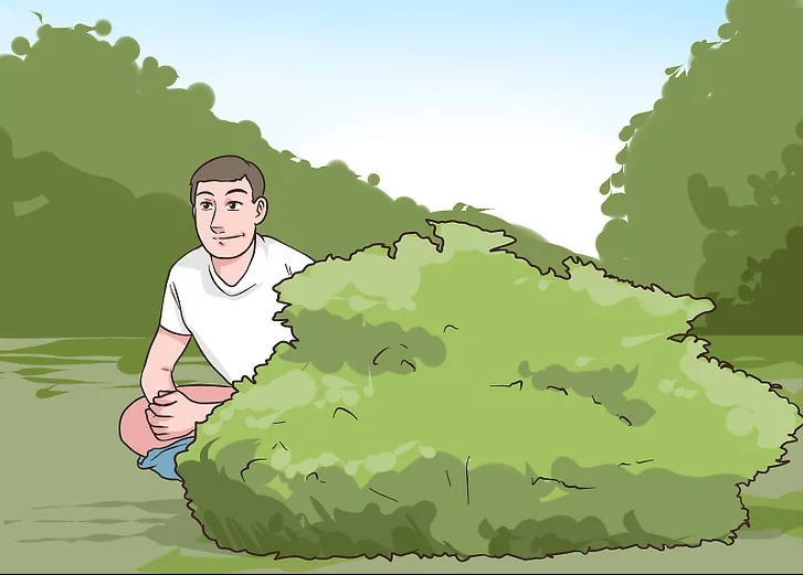 如何在野外自制卫生间？用这两种办法，既科学又干净