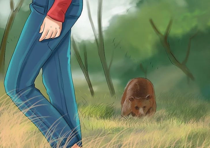 與熊狹路相逢怎么辦？不要硬剛，跟它兜圈子，熊也拿你也沒(méi)辦法