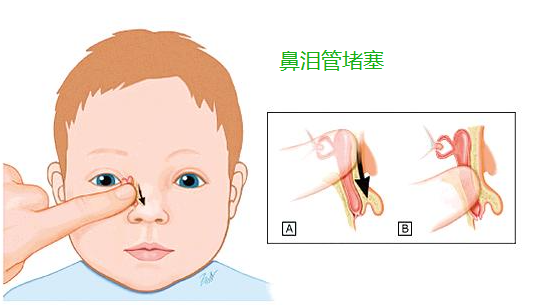 吹泪管指法教程图片