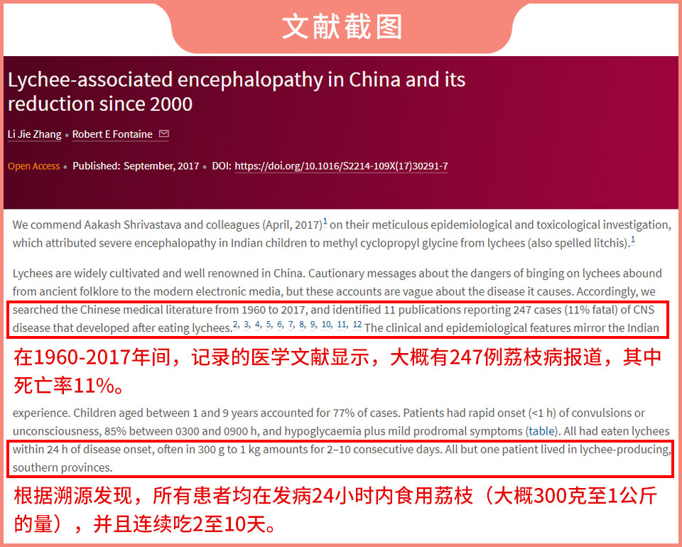 荔枝吃多了会得病，严重可致人死亡？这些注意事项要牢记