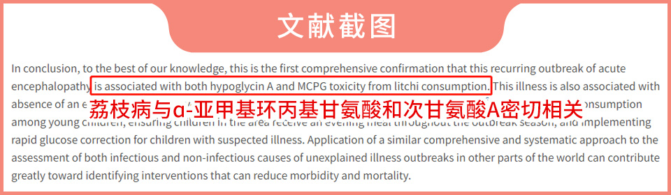 荔枝吃多了會(huì)得病，嚴(yán)重可致人死亡？這些注意事項(xiàng)要牢記
