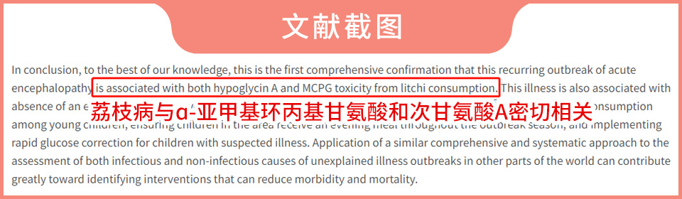 荔枝吃多了會(huì)得病，嚴(yán)重可致人死亡？這些注意事項(xiàng)要牢記