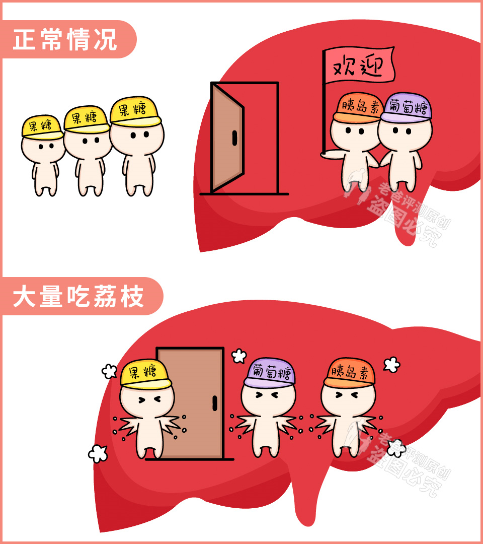 荔枝吃多了會(huì)得病，嚴(yán)重可致人死亡？這些注意事項(xiàng)要牢記