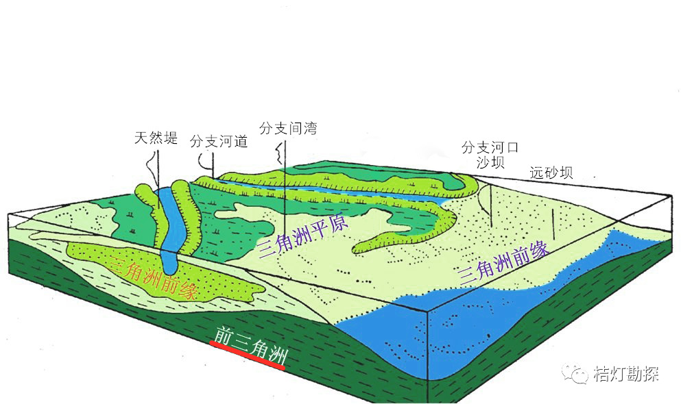 冲积平原 三角洲图片