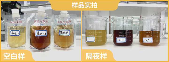隔夜茶到底能不能喝？實測3款隔夜茶，終于搞清楚了