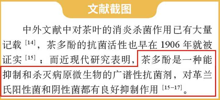 隔夜茶到底能不能喝？實(shí)測(cè)3款隔夜茶，終于搞清楚了