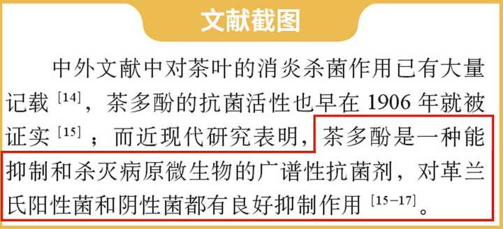 隔夜茶到底能不能喝？实测3款隔夜茶，终于搞清楚了