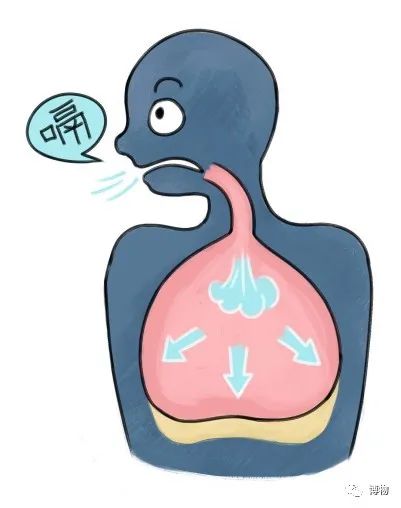 膈肌紧张收缩,隔膜下移拉大胸腔,吸进空气,形成呃逆.