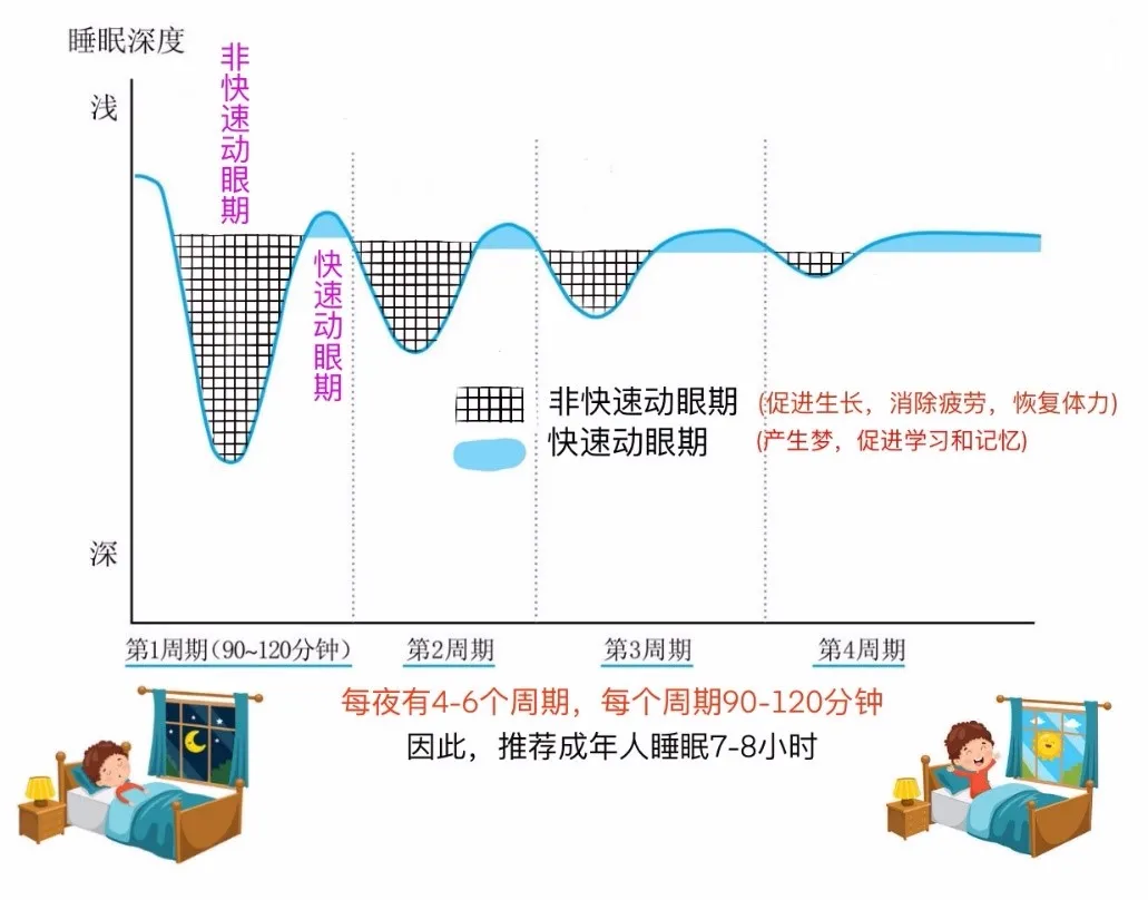 “凌晨三点，要崩溃了……”，失眠，你真的了解吗？