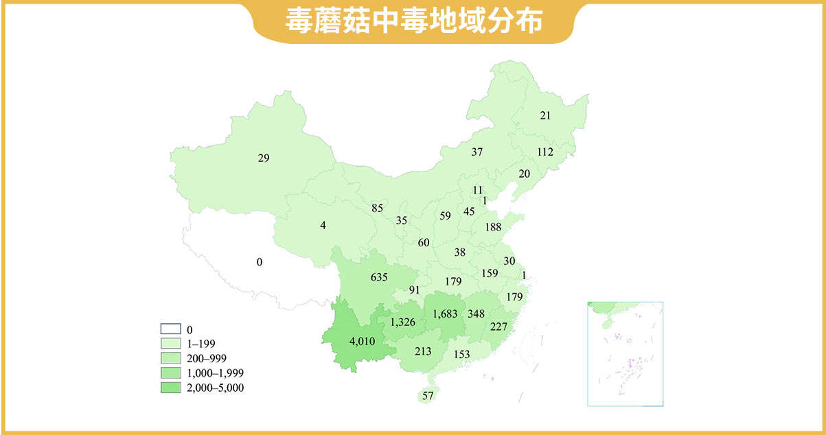 平均每年有1000多人为此中毒，为啥云南人还是如此爱吃野生菌？